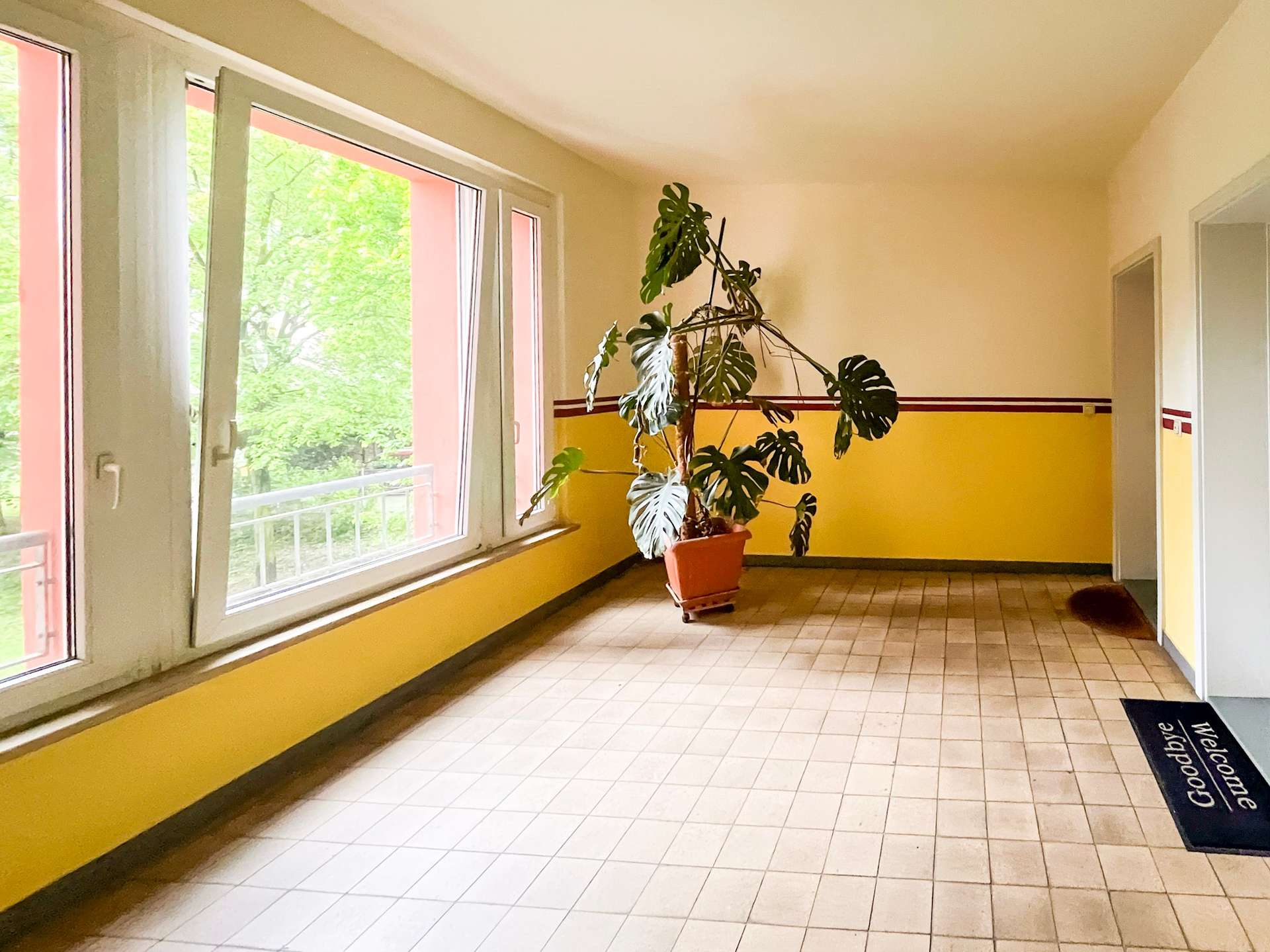 Bright indoor hallway with a tall Monstera plant in a pot near large windows on the left and a yellow lower wall with a dark trim outside light spilling in.