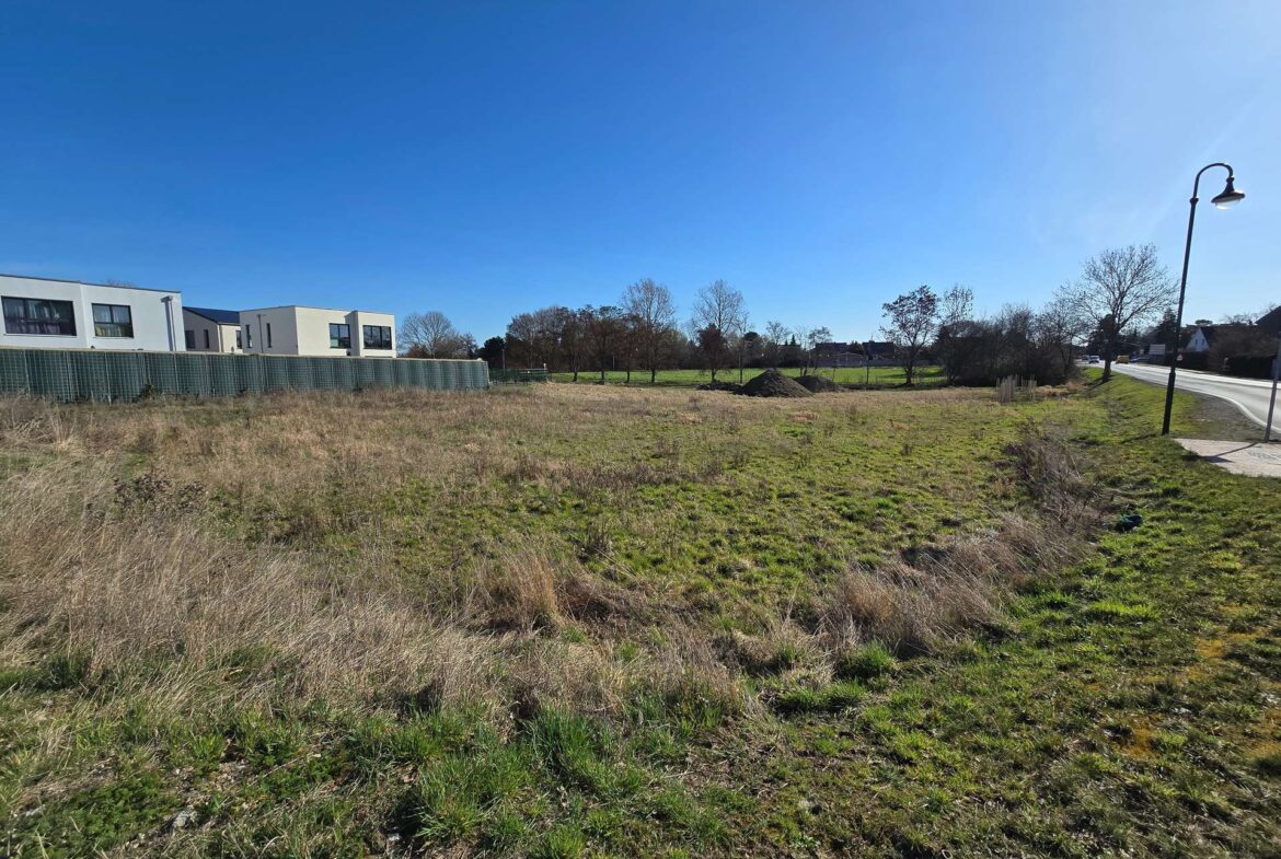 Wide view of an undeveloped grassy field beside modern houses, with a fence, trees, and a streetlamp against a clear blue sky.