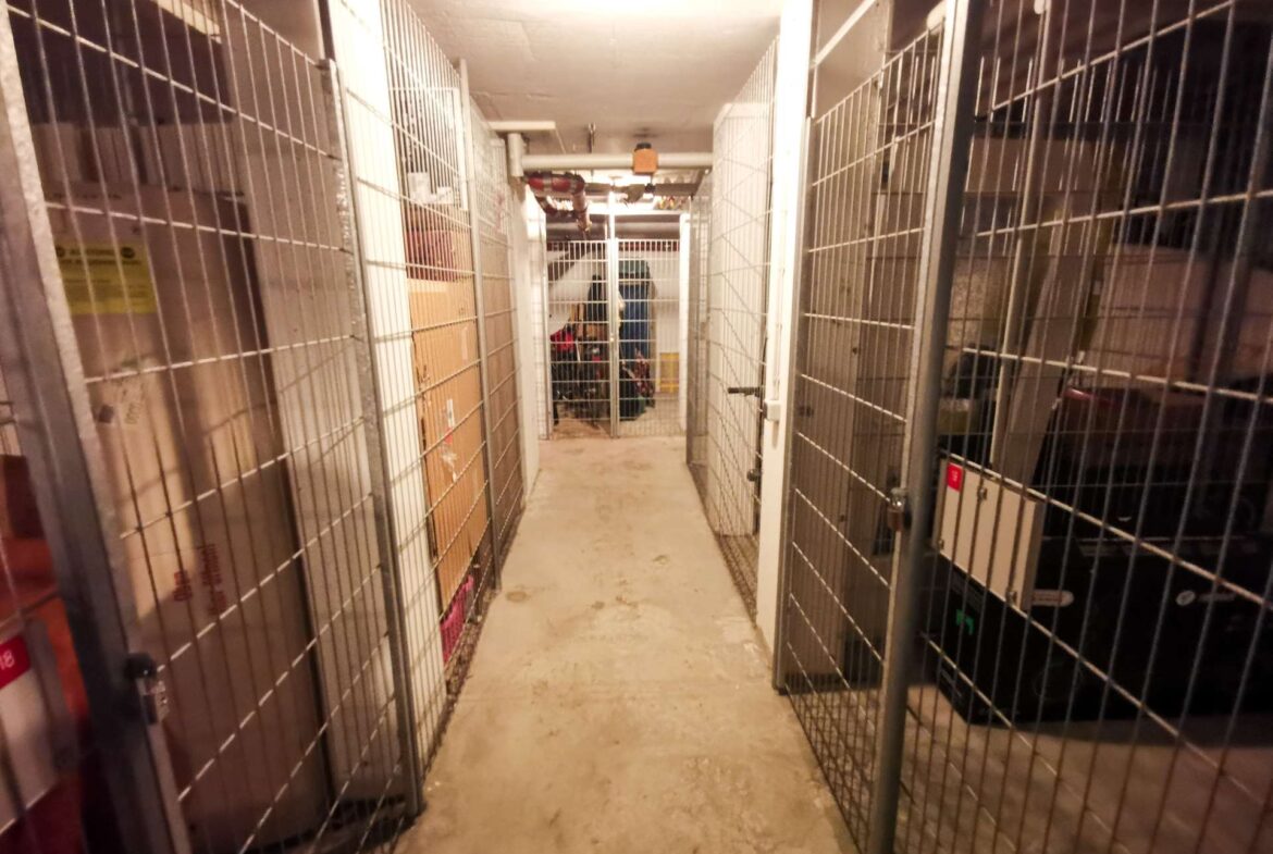 Dim basement corridor lined with tall metal cage walls on both sides; a person stands near the far end, suggesting an animal shelter or storage area.