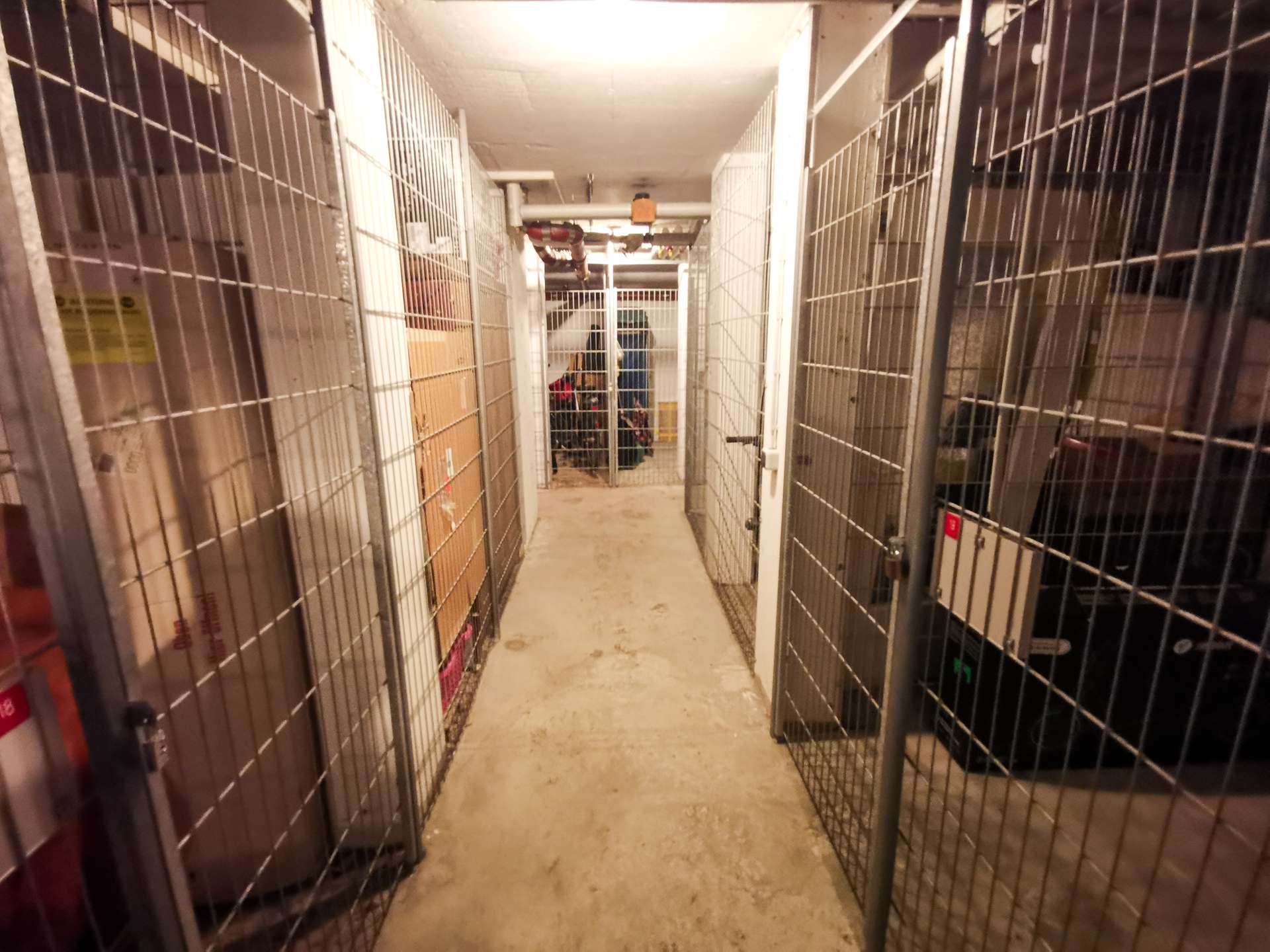 Dim basement corridor lined with tall metal cage walls on both sides; a person stands near the far end, suggesting an animal shelter or storage area.