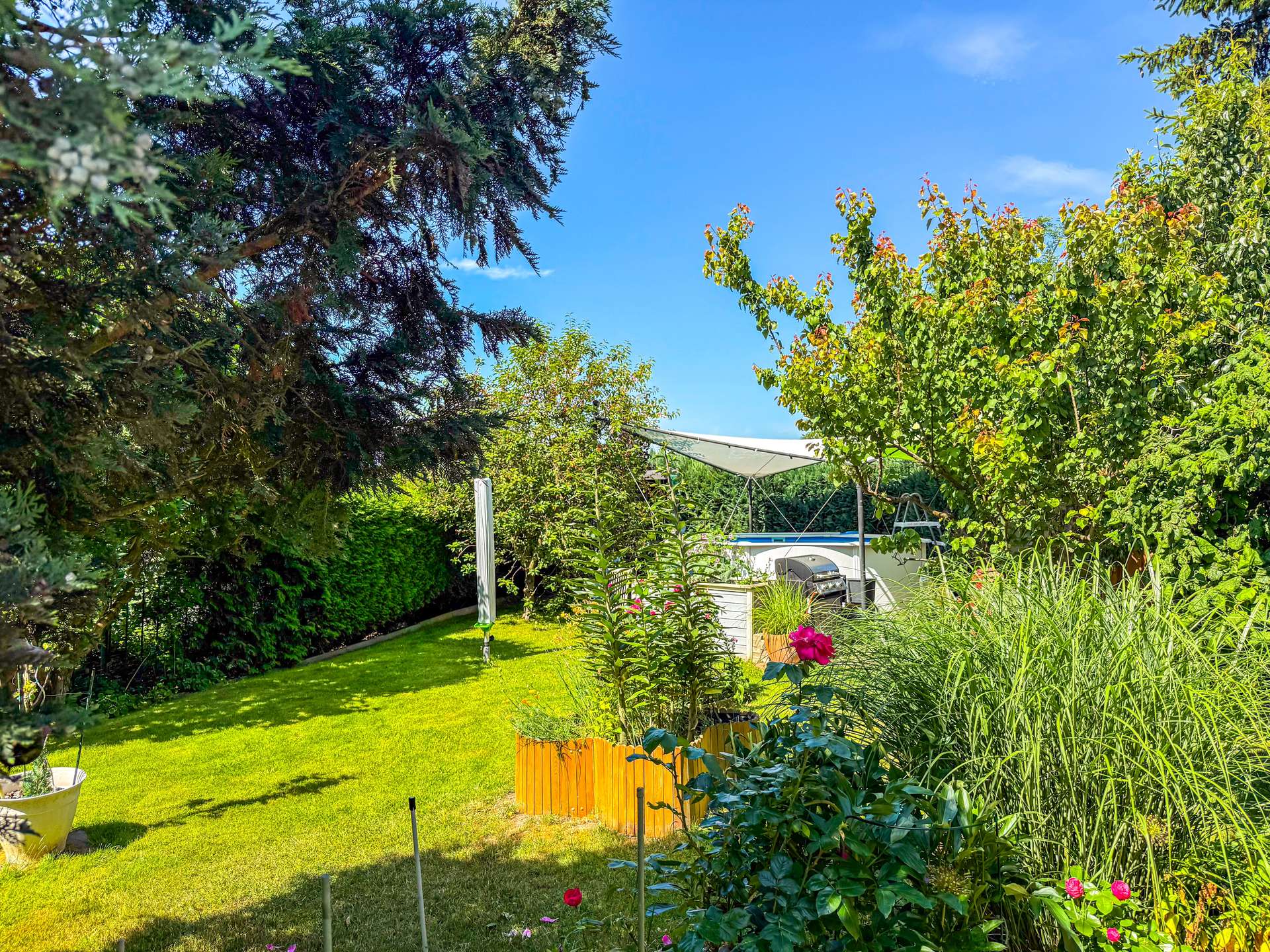 Blick in den Garten