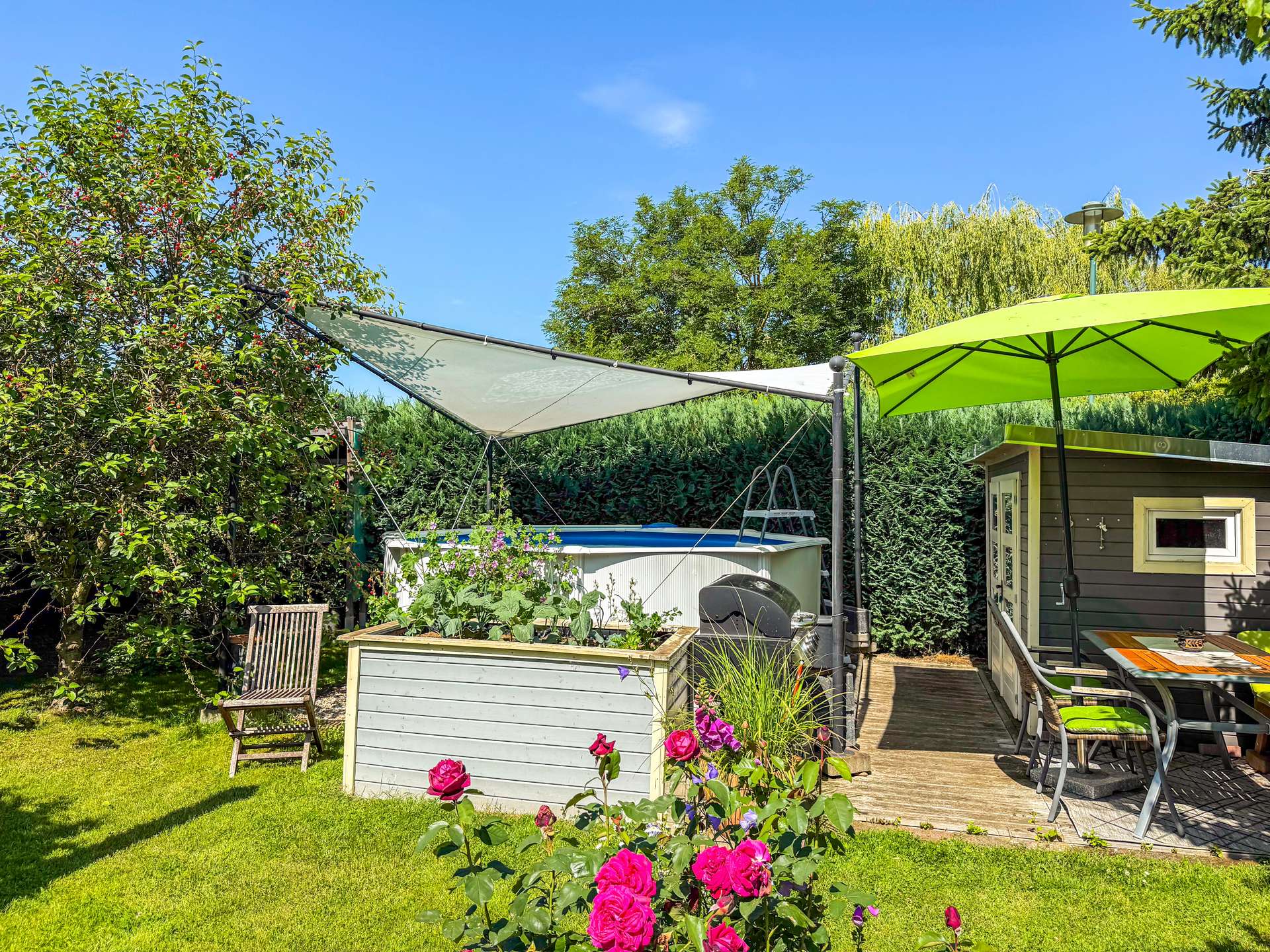 Sunny backyard scene with pink roses in the foreground, a raised planter box, wooden chairs, a pool, and a bright green patio umbrella on a deck under a blue sky.