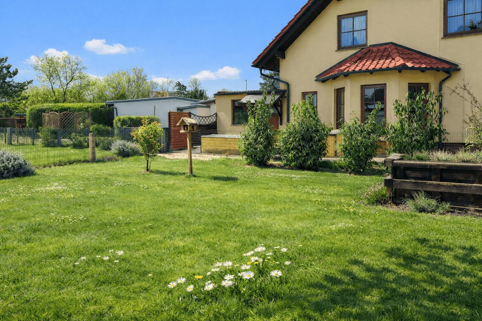 Sunlit backyard of a yellow house with a red-tiled roof, green lawn and white daisies in the foreground.