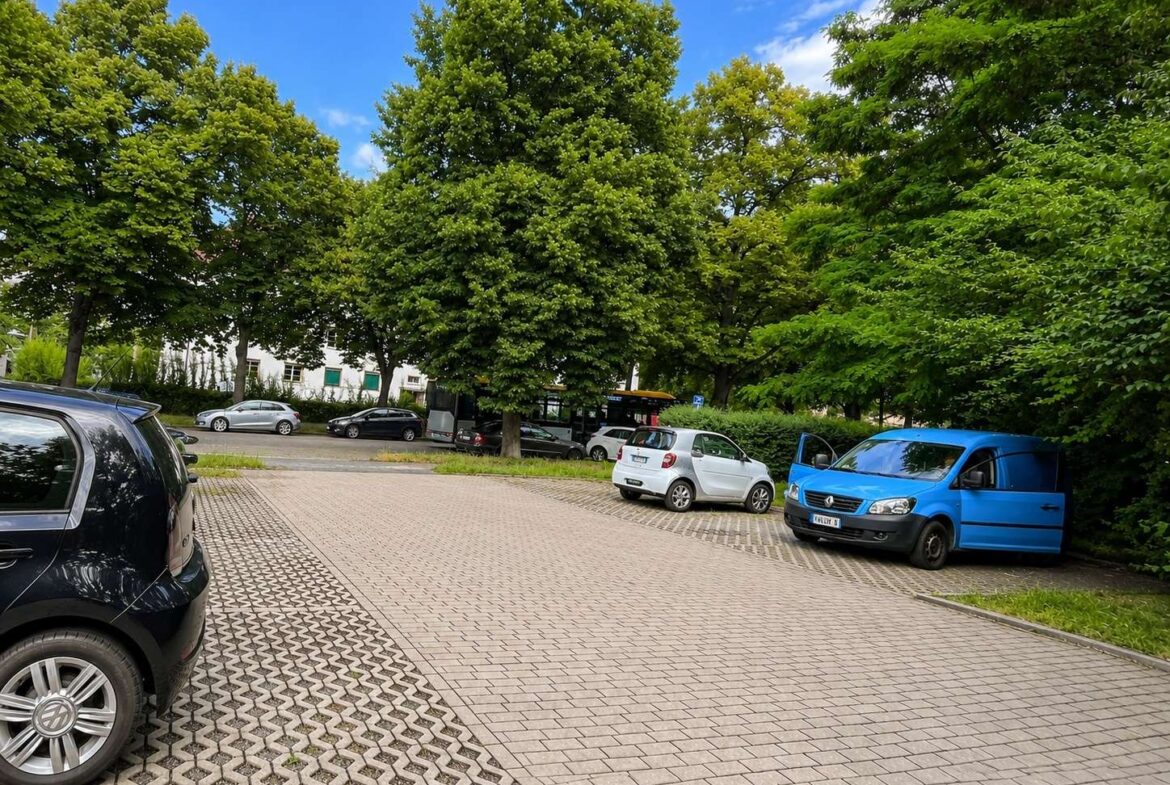 Parking lot with rows of trees, several parked cars including a white hatchback and a blue van on a sunny day