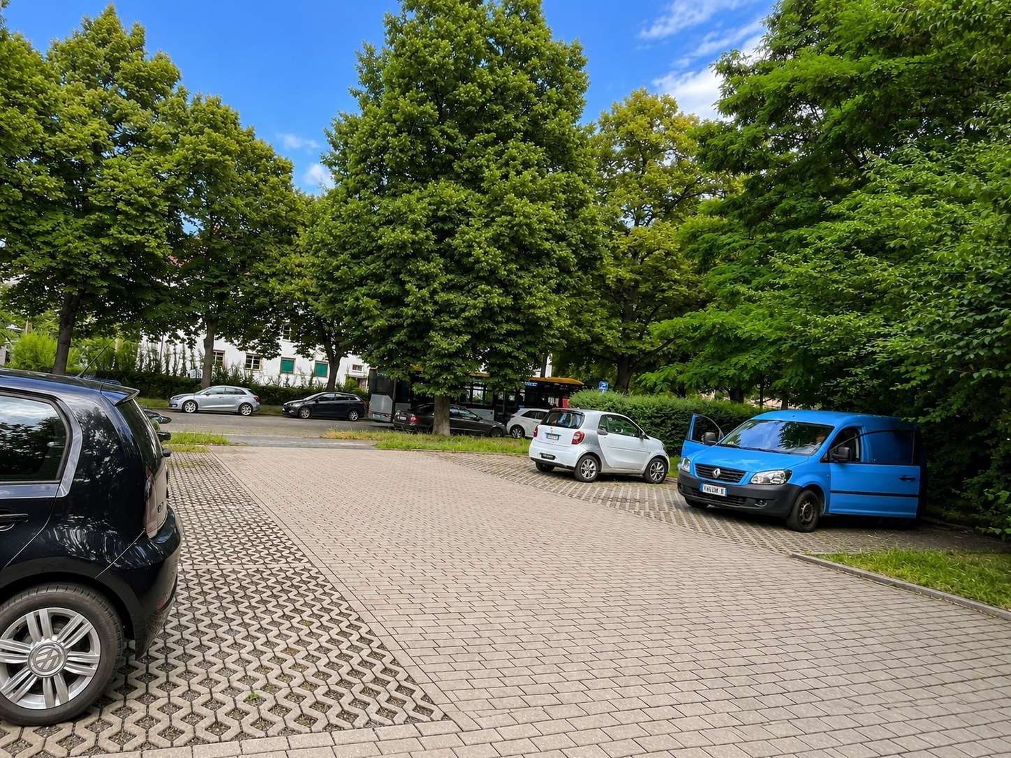 Parking lot with rows of trees, several parked cars including a white hatchback and a blue van on a sunny day
