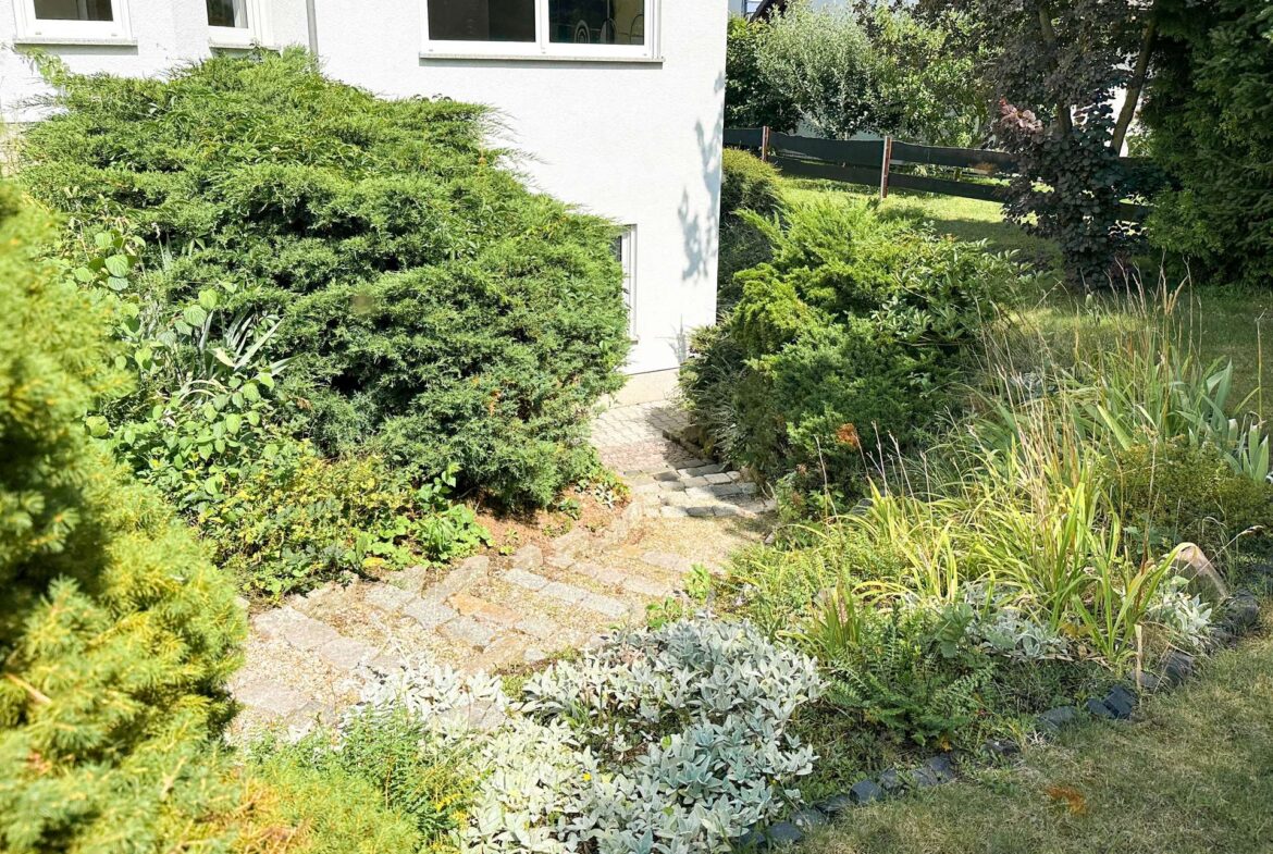 Garden path beside a white house, bordered by dense evergreen shrubs and ornamental grasses.