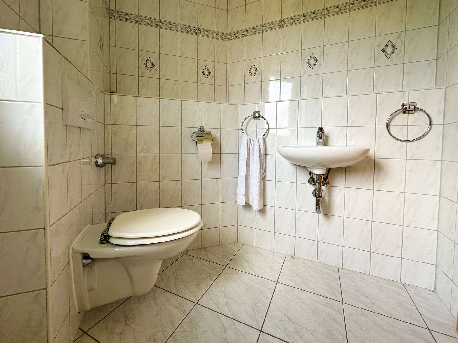 Bathroom with white marble-pattern tiles, a toilet on the left, and a wall-mounted sink on the right; towel rings and a toilet paper holder are visible.