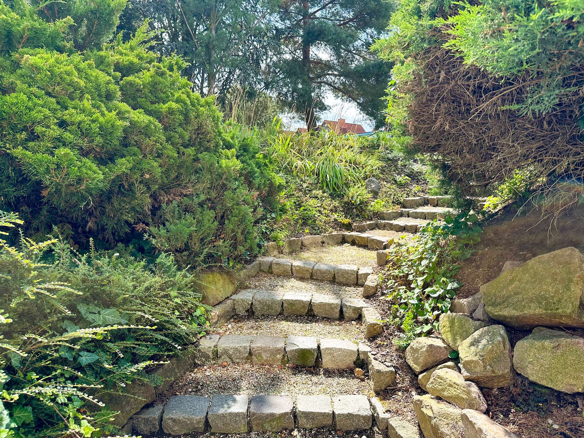 Stone garden steps winding upward between green shrubs and trees in a sunny yard.
