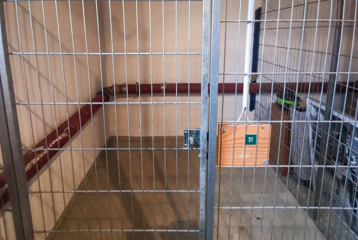 Empty metal cage with vertical bars; red pipes run along the back wall and a cardboard box labeled '51' sits in the corner.