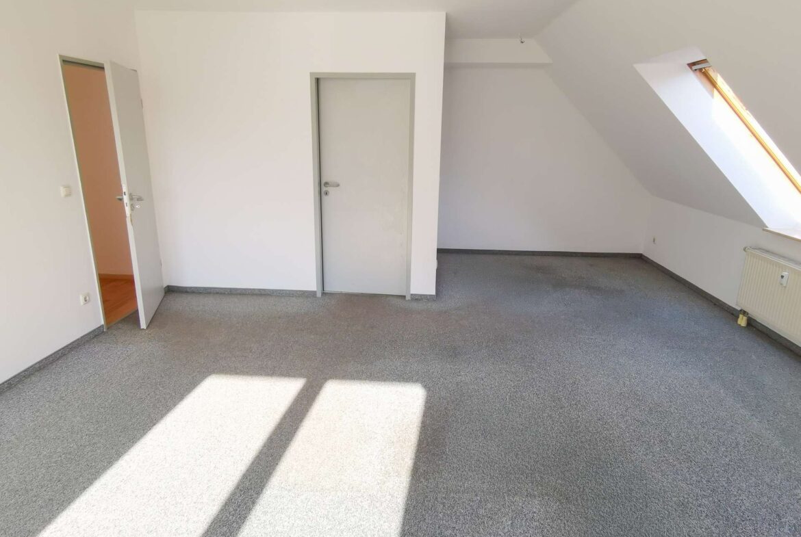 Empty attic room with a closed white door on a white wall, sunlight casting long shadows on a grey carpeted floor. A sloped ceiling and a skylight are visible on the right, with a radiator along the far wall.