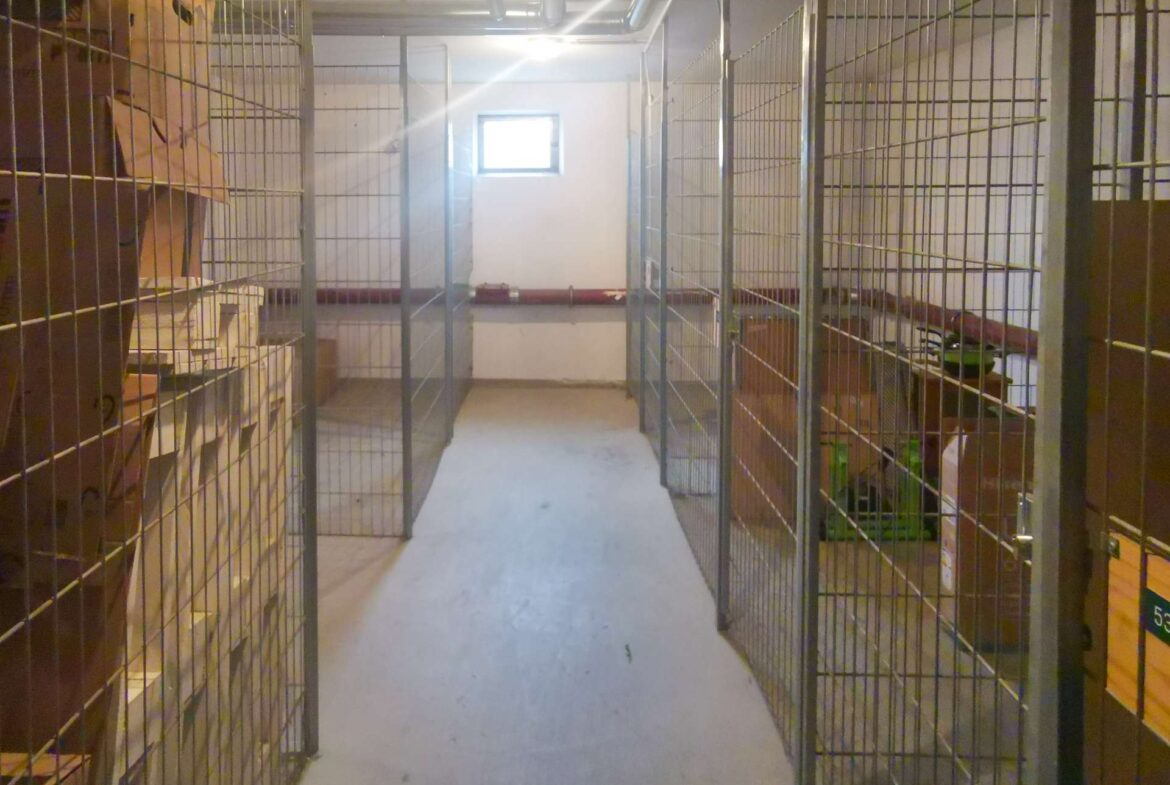 Wide hallway flanked by metal storage cages filled with boxes and shelves; a small window at the end lets in light.