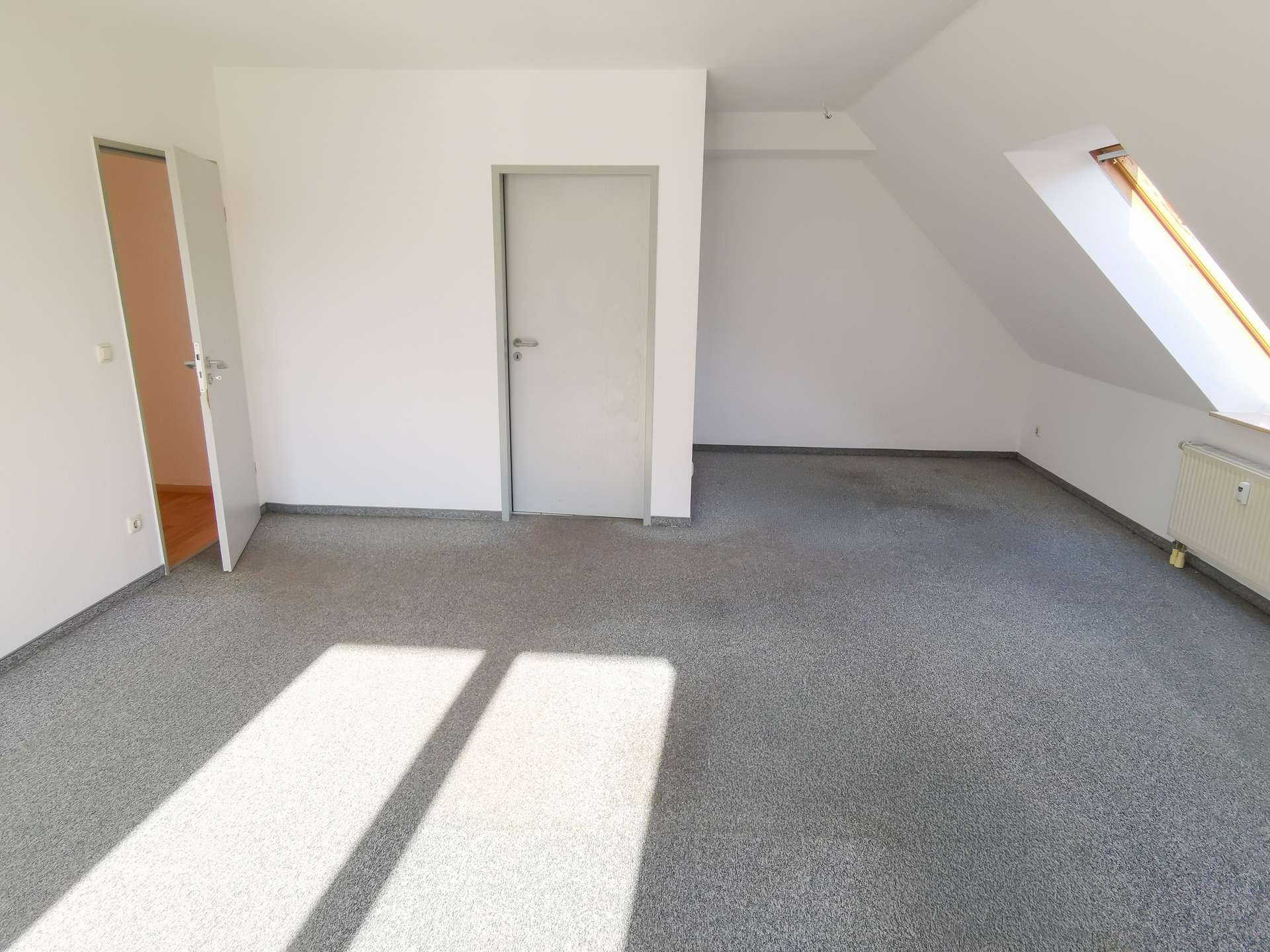 Empty attic room with sloped ceiling, white walls, gray trim around a door, and a skylight letting in daylight.