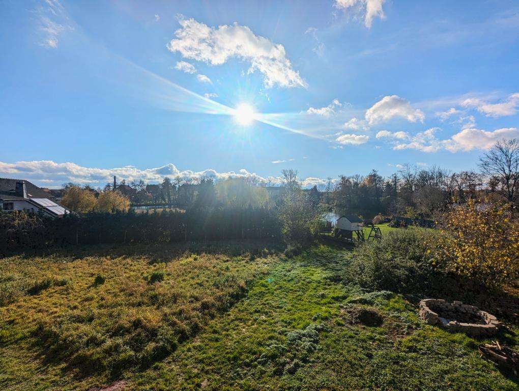 Sunny backyard scene with a bright sun in a blue sky, green grass, and trees along a hedge; a small playset sits toward the right.