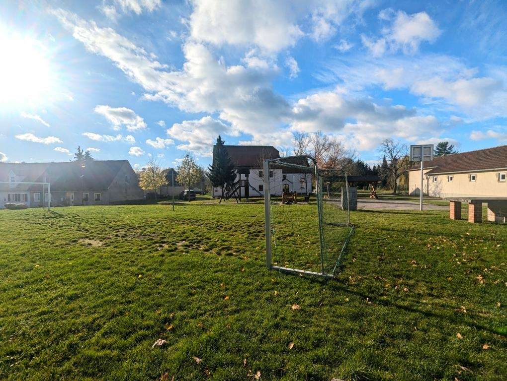 Small soccer goal on a grassy park with houses in the background and a bright sun in the sky