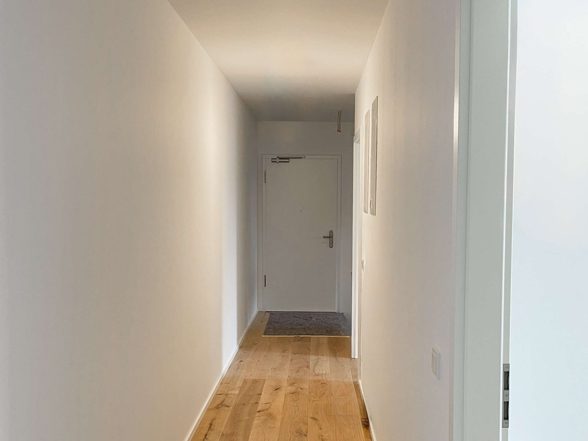 Narrow white hallway with light wood flooring leading to a closed white door at the end, a gray rug on the floor.