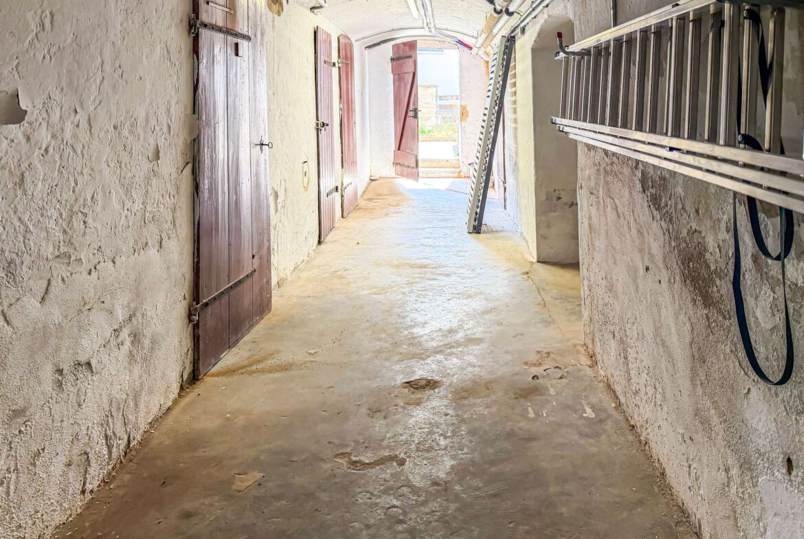 Narrow basement hallway with rough white walls, wooden doors on the left, a metal ladder against the right wall, and a bright doorway at the far end.