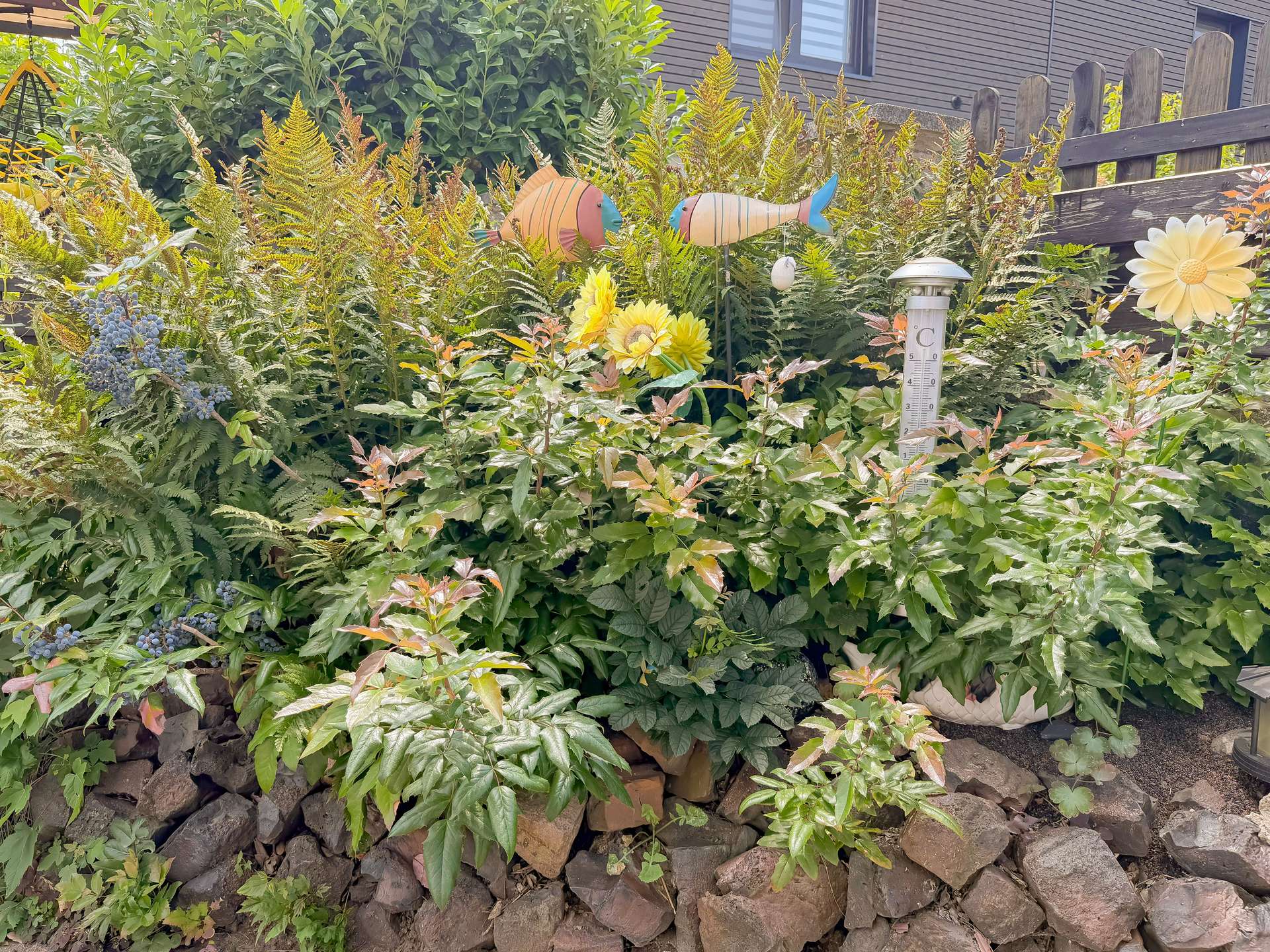 Lush garden border with ferns, flowering plants, and grape clusters, plus two colorful fish ornaments amid a rock retaining wall and a tall thermometer stake in the greenery.