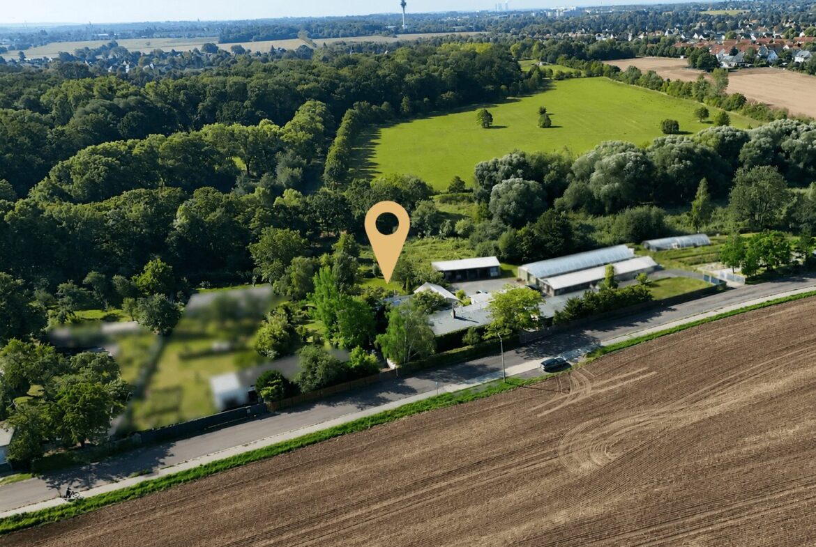 Grüne Lage
