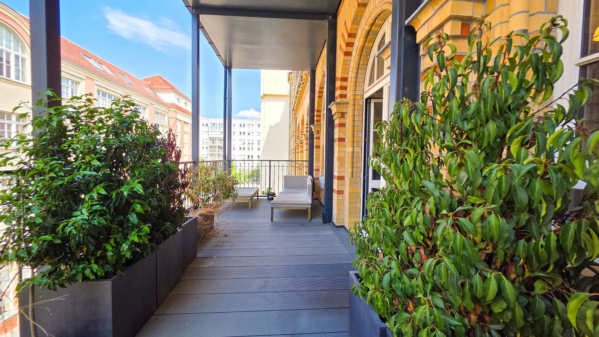 Balcony with a wooden deck, two lounge chairs, and large green shrubs in planters along a brick building; cityscape visible beyond.