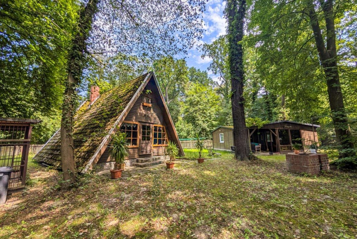 A-frame wooden cabin in a sunlit forest yard with leafy trees and potted plants around the steps.