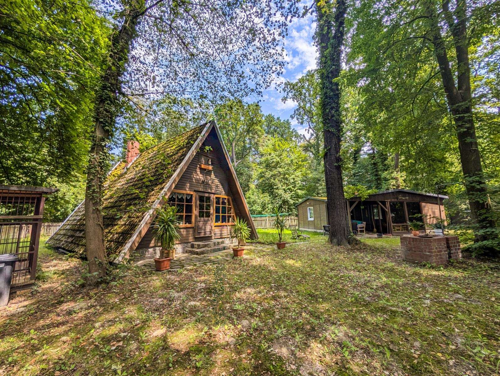 A-frame wooden cabin in a sunlit forest yard with leafy trees and potted plants around the steps.