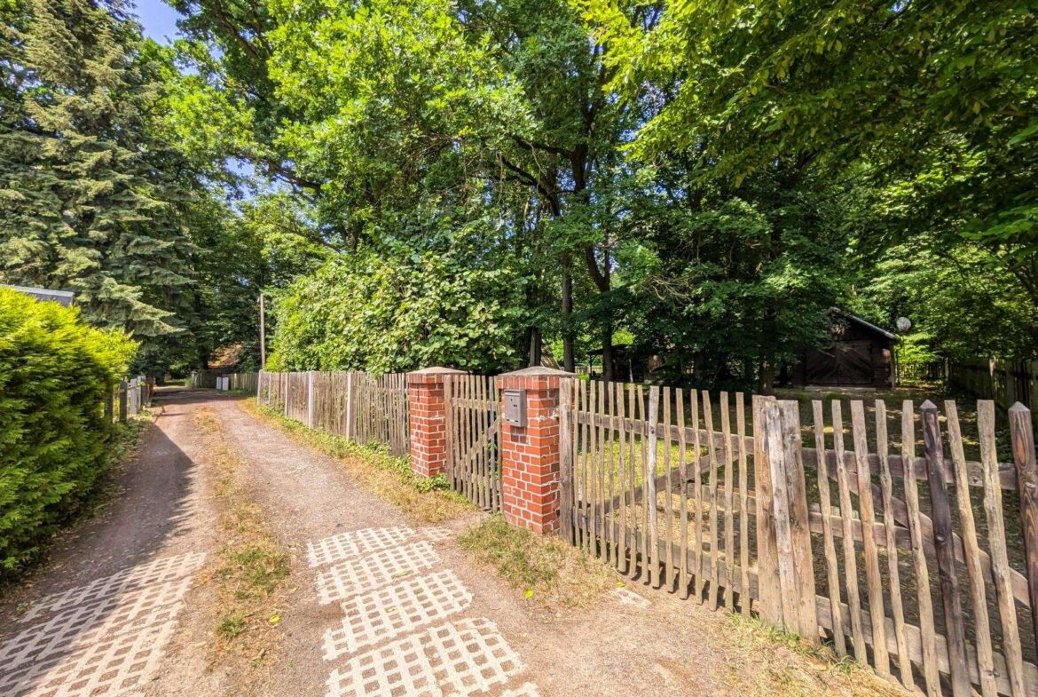 Dirt path lined with wooden fence and brick gate pillars, surrounded by dense green trees and a small shed in the background.