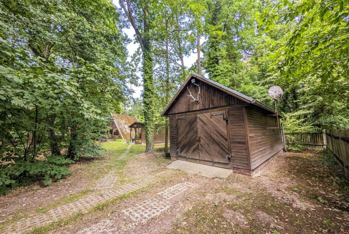 Rustic wooden shed in a leafy forest yard, with another small structure in the background and a dirt, leaf-strewn path nearby.