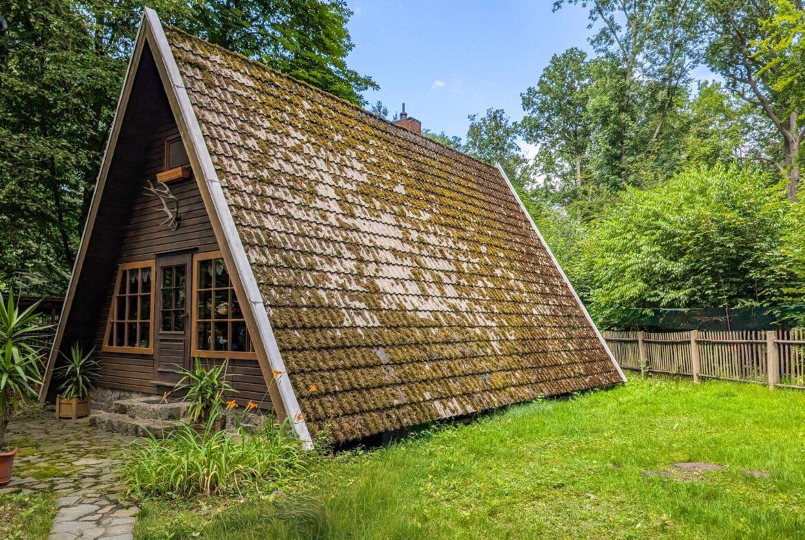 A-frame wooden cabin with a mossy roof, antlers mounted on the wall, and two-paned windows in a garden setting.