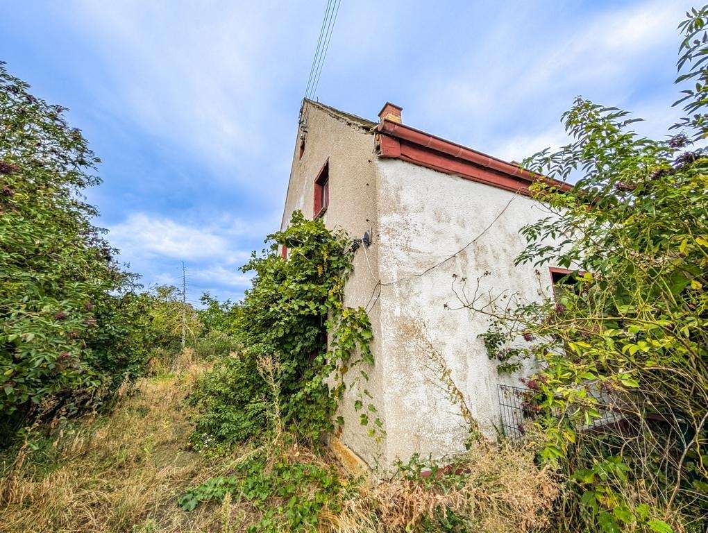 Abandoned white stucco house overgrown with ivy in a rural yard under a blue sky.