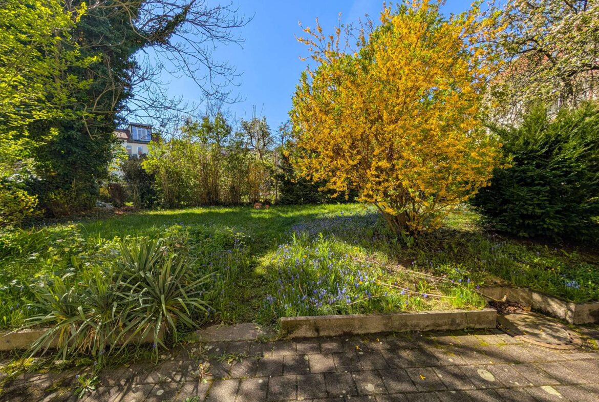A sunlit garden with blue flowers, green shrubs, and a bright yellow-leaved tree beside a paved walkway.
