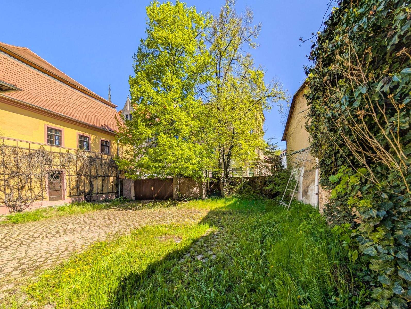Sunlit courtyard with a yellow building, cobblestone path, green grass, and a ladder leaning against an ivy-covered wall on the right.