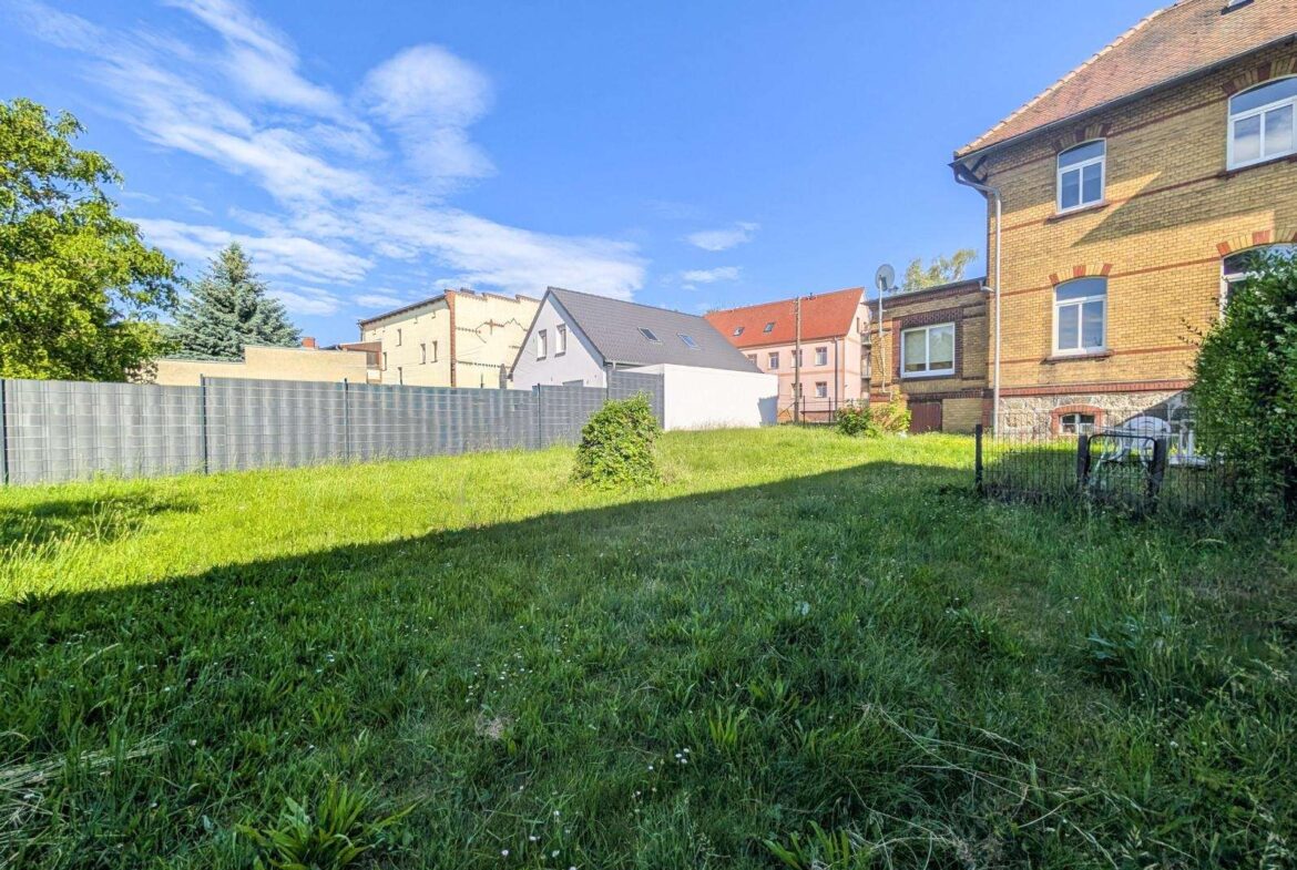Sunlit suburban backyard with tall green grass, a gray metal fence along the left, and brick houses on the right under a blue sky.