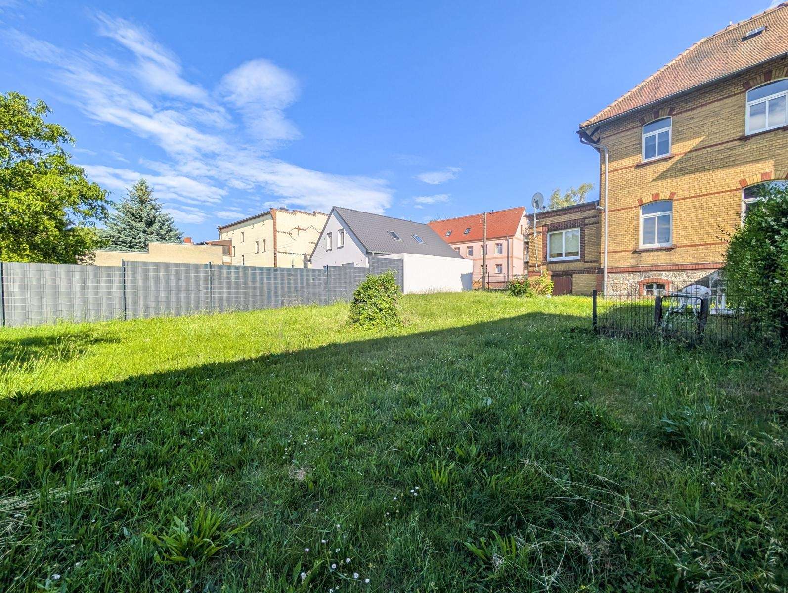 Sunlit suburban backyard with tall green grass, a gray metal fence along the left, and brick houses on the right under a blue sky.