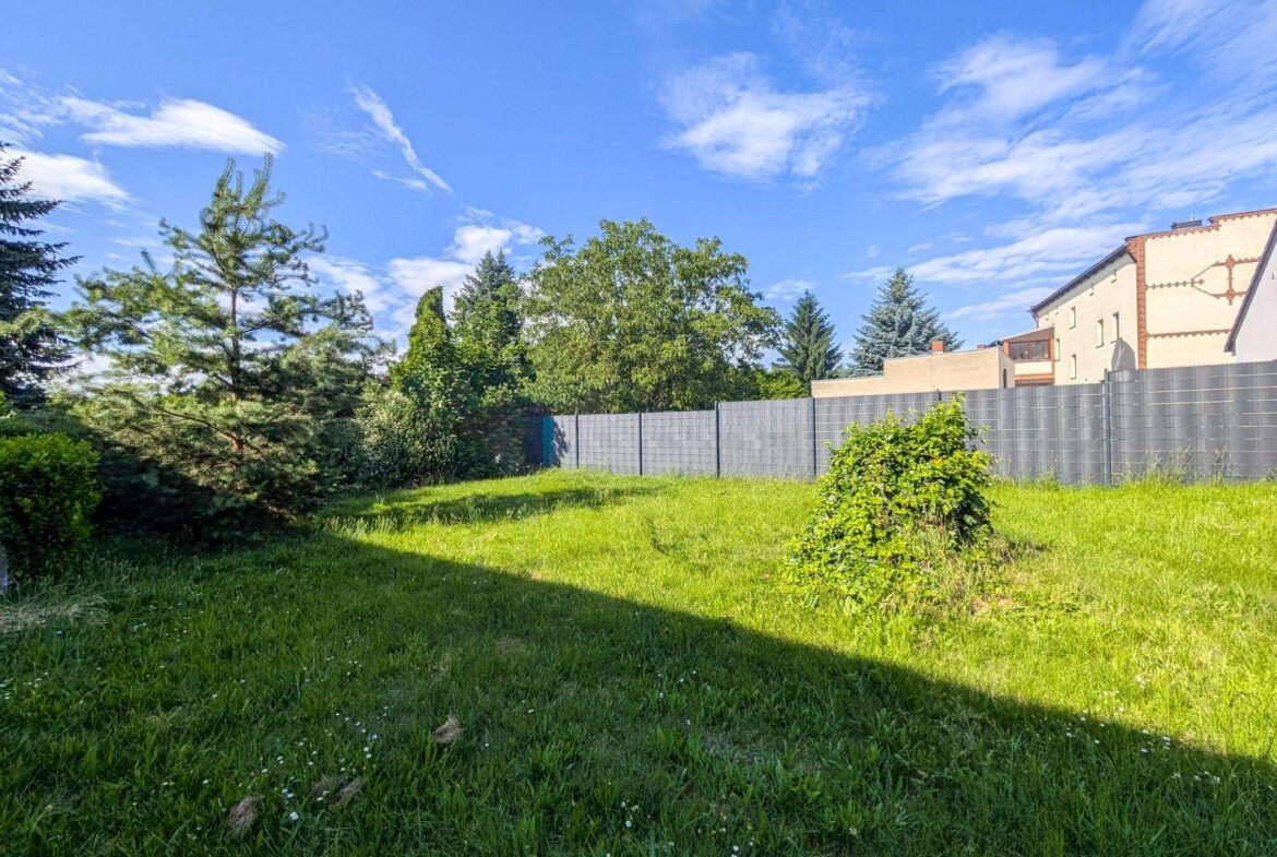 Sunny suburban backyard with green grass, trees, and a tall gray fence against a blue sky.