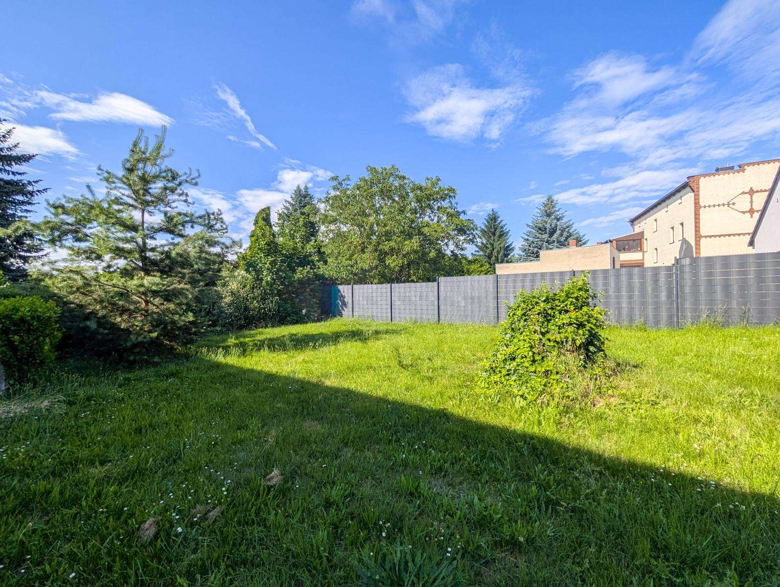 Sunny suburban backyard with green grass, trees, and a tall gray fence against a blue sky.