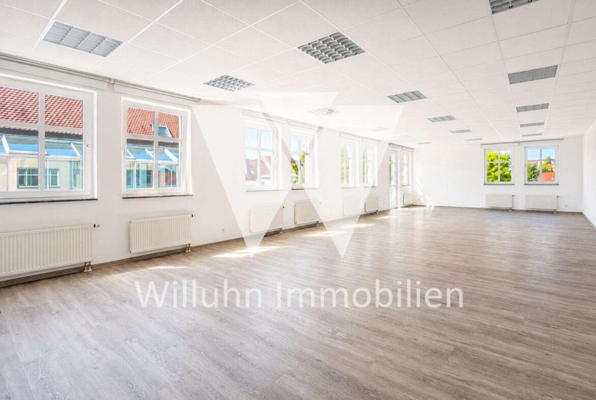 Bright, empty office space with large windows along one wall, white walls, and light wood flooring.