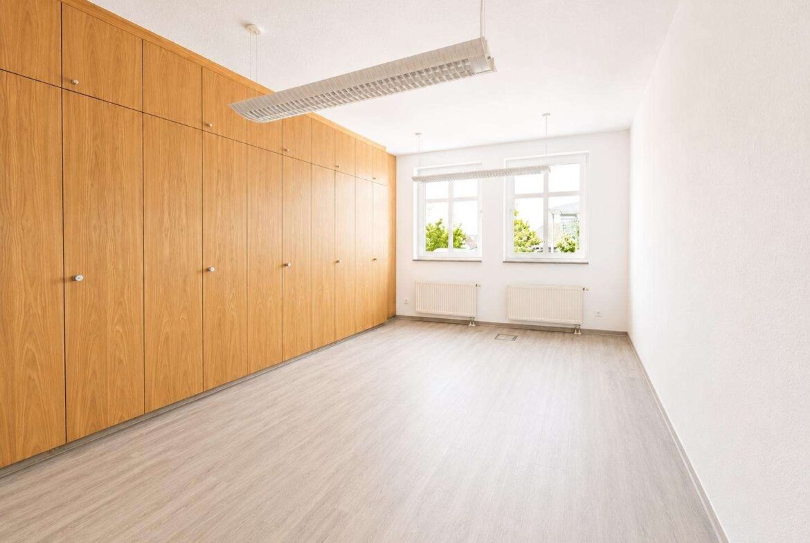 Bright empty room featuring tall wooden cabinets along the left wall, light gray flooring, and two radiators under windows.