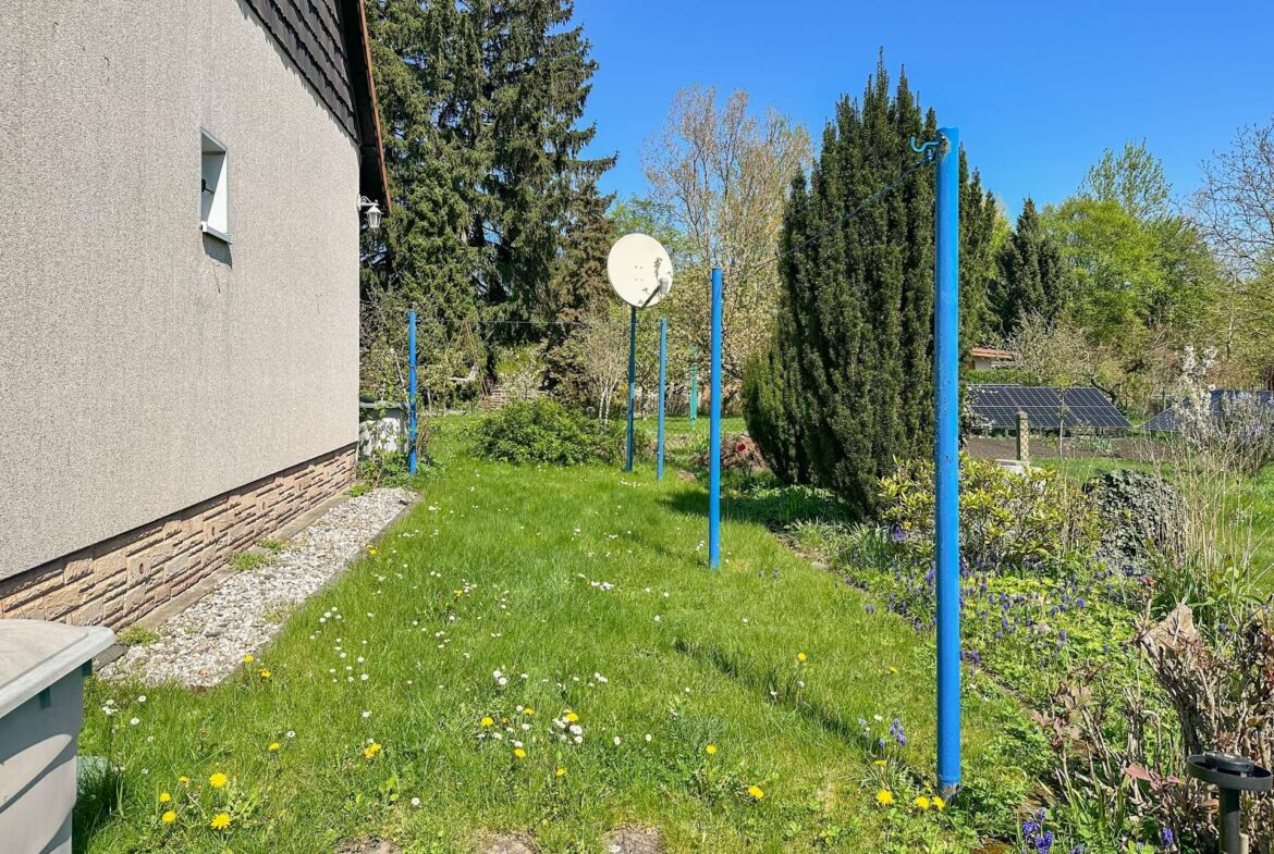 Side of a beige house with a small window, a green lawn dotted with yellow dandelions, and blue vertical posts forming a clothesline in a sunny backyard; a satellite dish is visible among trees in the background.
