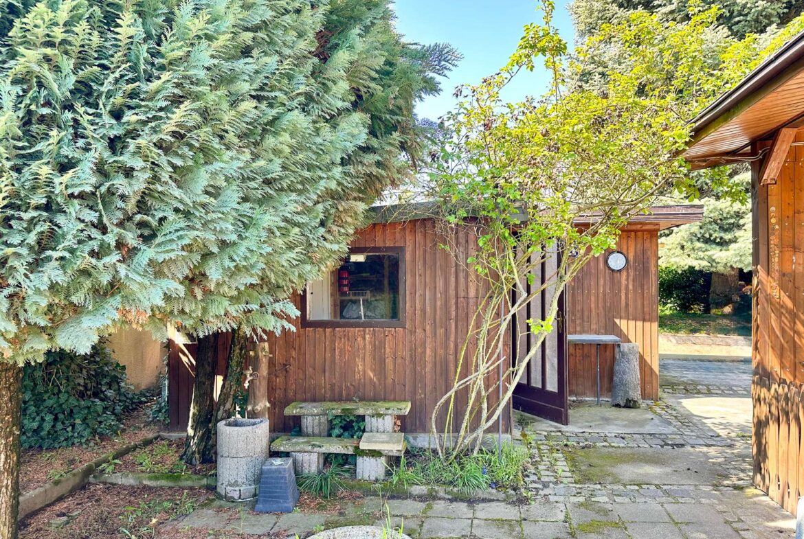 Brown wooden cabin facade with a large evergreen tree dominating the left side, and a smaller tree in front on a paved courtyard underneath a blue sky.