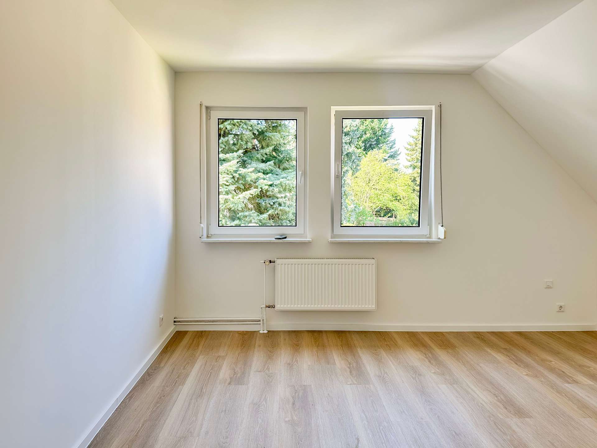 Small empty room with two side-by-side windows showing green trees, radiator below, and light wood flooring.