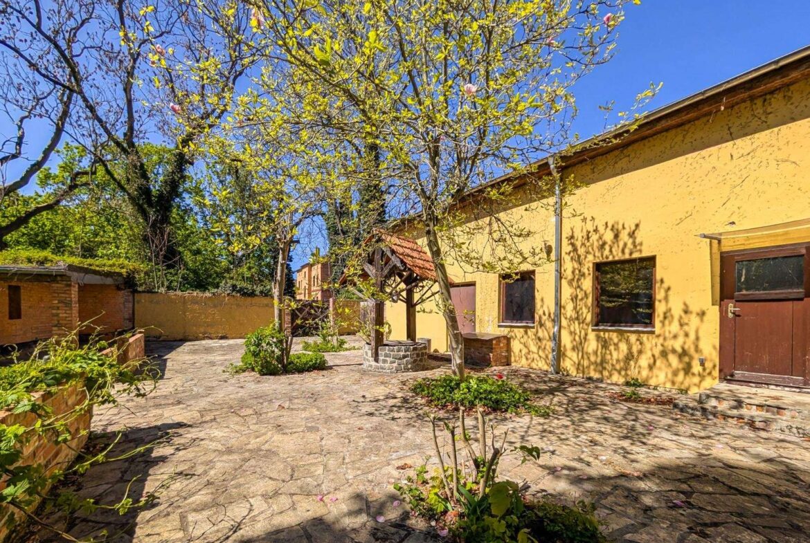 Sunny courtyard beside a yellow building with blooming trees and a stone-paved ground.