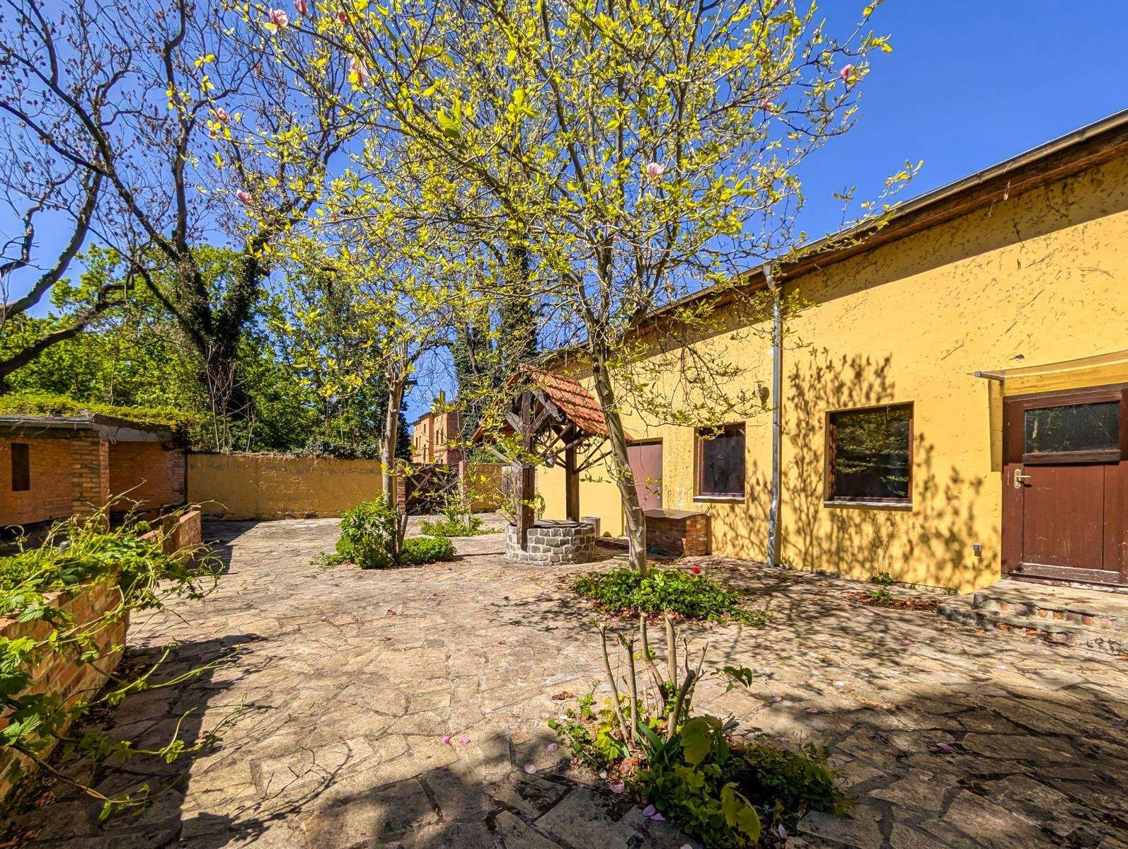 Sunny courtyard beside a yellow building with blooming trees and a stone-paved ground.