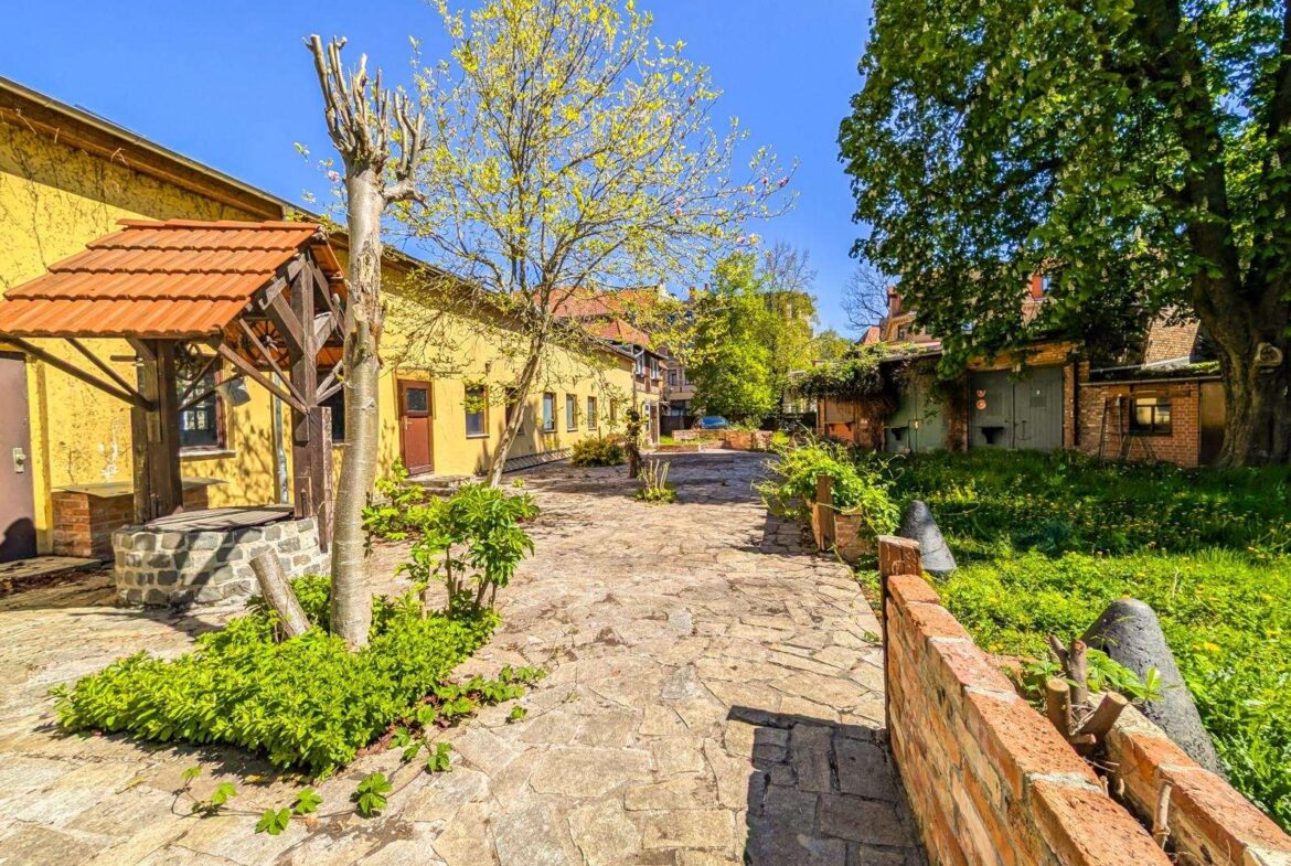 Stone walkway in a sunlit courtyard, yellow houses on both sides, budding trees, and a low brick wall.