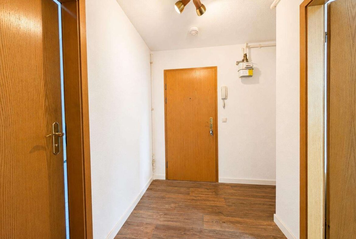 Narrow hallway with white walls, wood doors, and a gas meter mounted on the right wall.