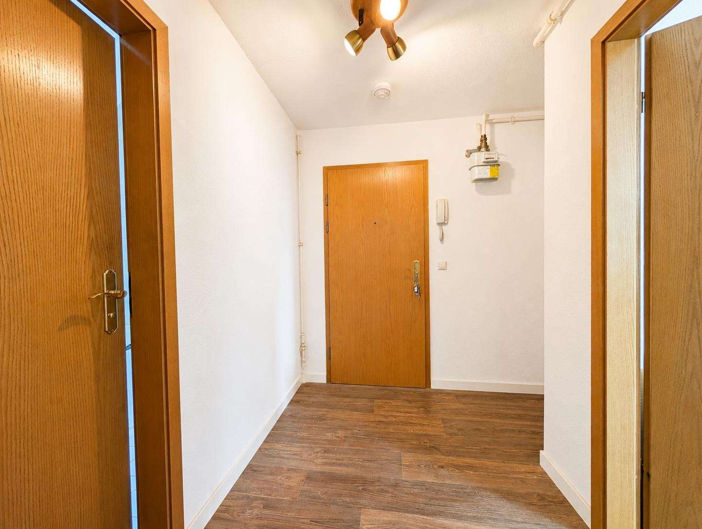 Narrow hallway with white walls, wood doors, and a gas meter mounted on the right wall.