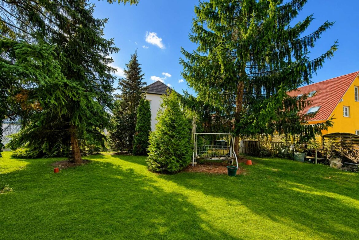 Backyard with a green lawn, tall evergreen trees, and a yellow house with a red roof under a blue sky.