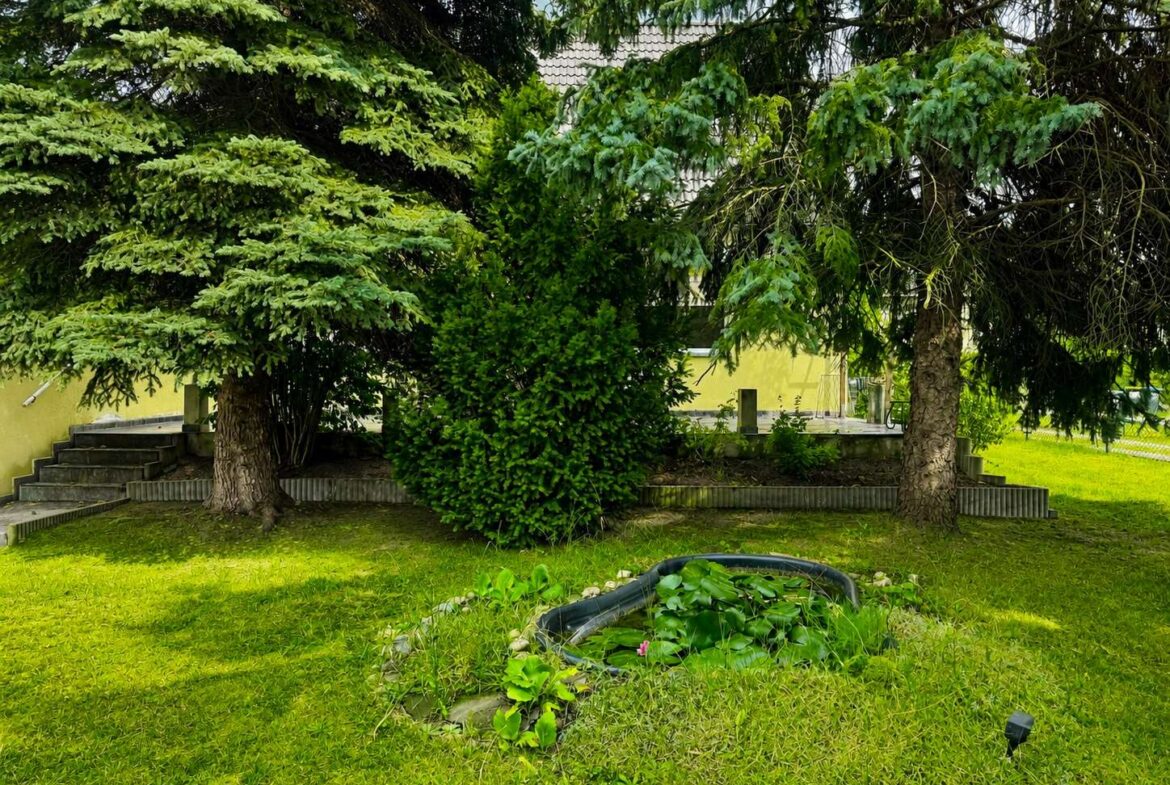Grassy yard with two large evergreen trees and a circular lily-filled pond in the foreground, yellow building visible in the background.