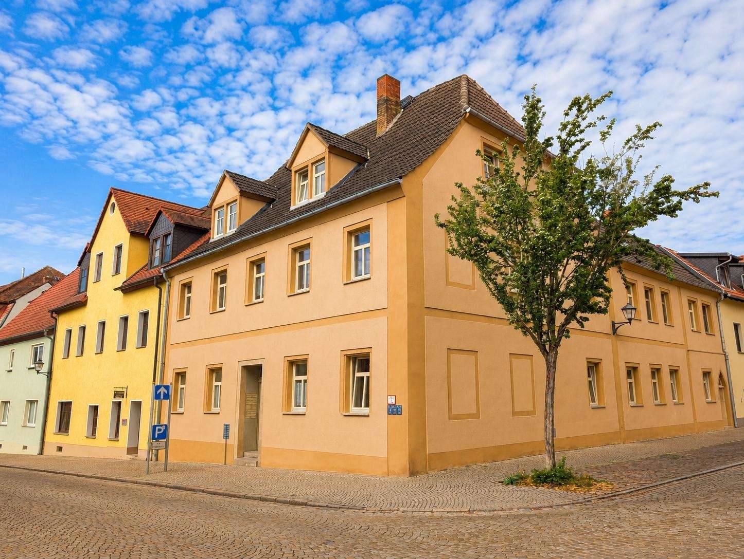 Colorful row of pastel houses on a cobblestone street with a small tree in front under a blue sky.