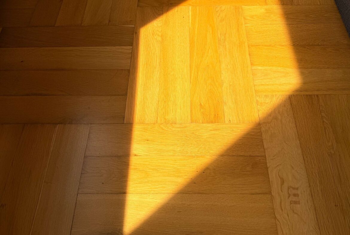 Sunlight streams diagonally across a warm wooden parquet floor, creating a bright yellow triangular patch of light.