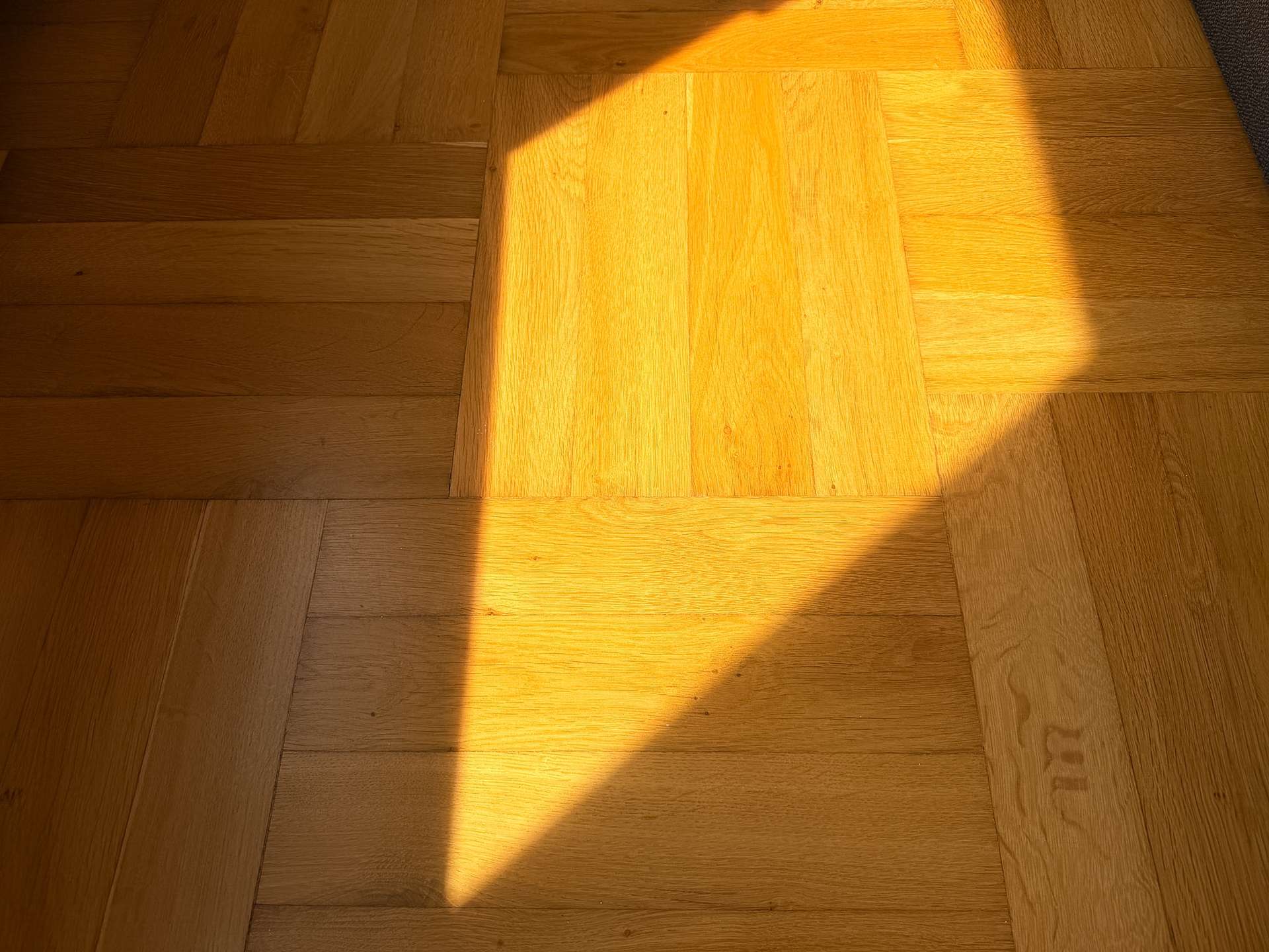 Sunlight streams diagonally across a warm wooden parquet floor, creating a bright yellow triangular patch of light.
